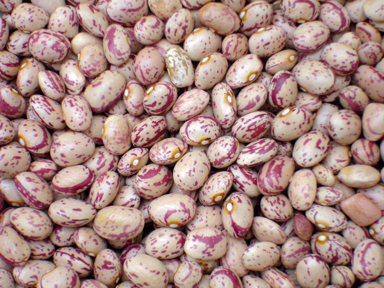 لوبیا چیتی هورا 900 گرمی