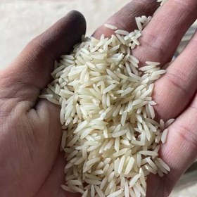 برنج دانه بلند مدل هاشمی گیلان هورا