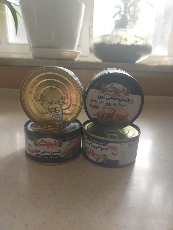 کنسرو سبد هورا