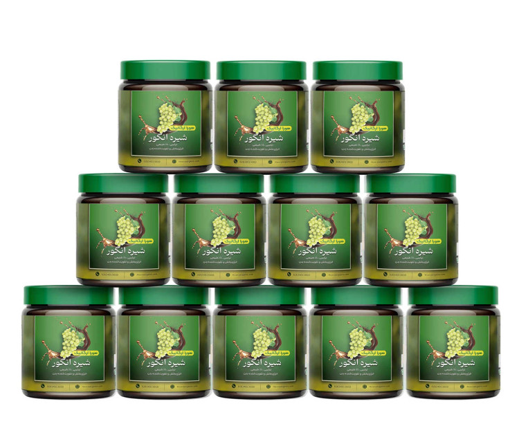 شیره انگور هورا مدل لرستان وزن ۵۰۰ گرم