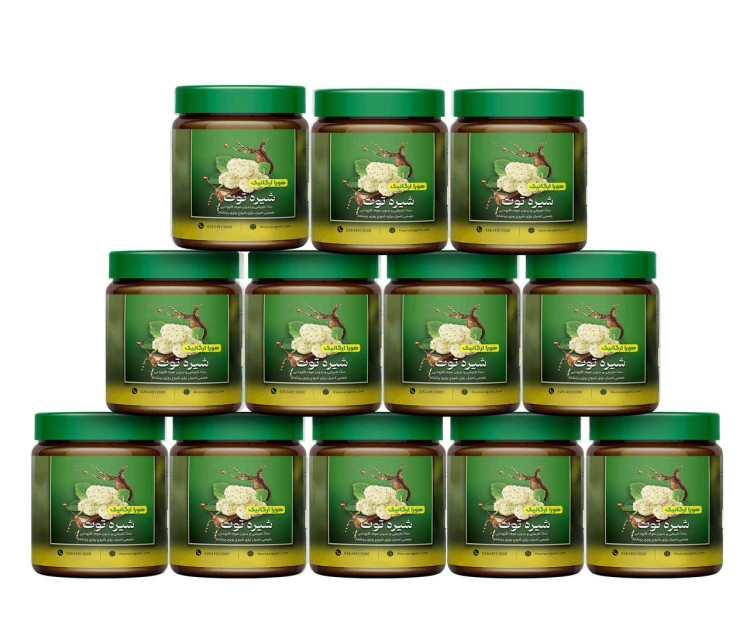 شیره توت هورا مدل لرستان وزن ۵۰۰ گرم